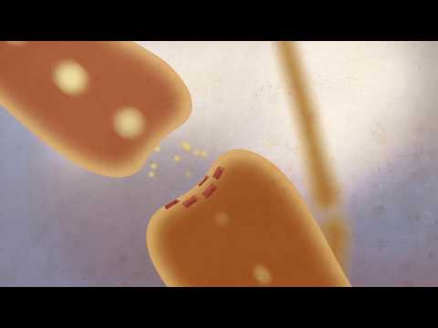 Thumbnail for the embedded element "How Neurons Communicate"