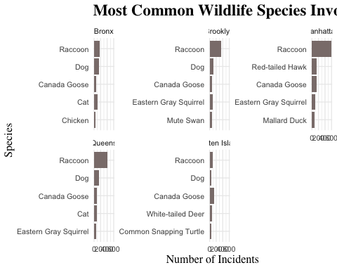 Most common wildlife species involved in reported incidents across NYC boroughs. Bars represent the number of incidents involving each species, with panels shown separately for each borough.