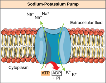 Energy Coupling