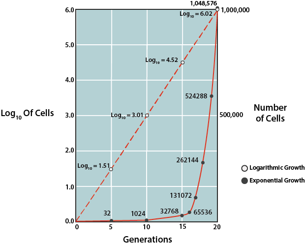 Bacterial Growth Rates.
