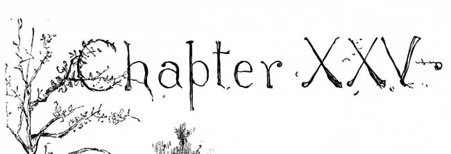 Chapter 25