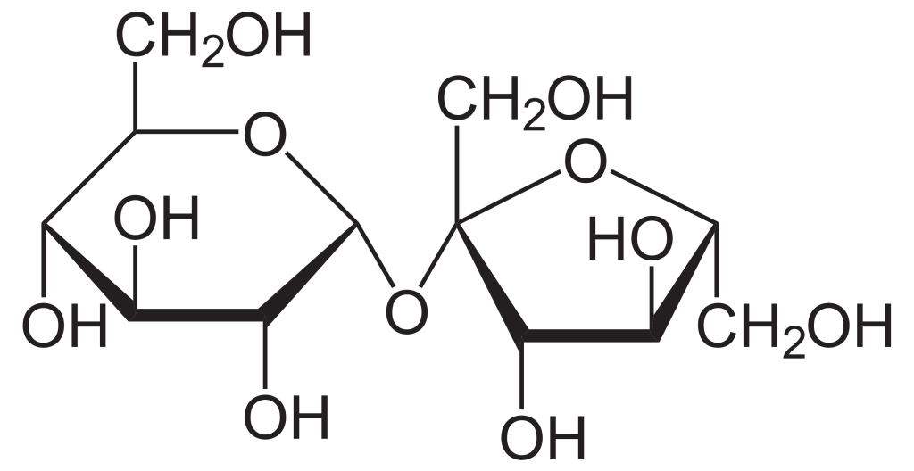 Hayworth projection of the chemical structure of sucrose.