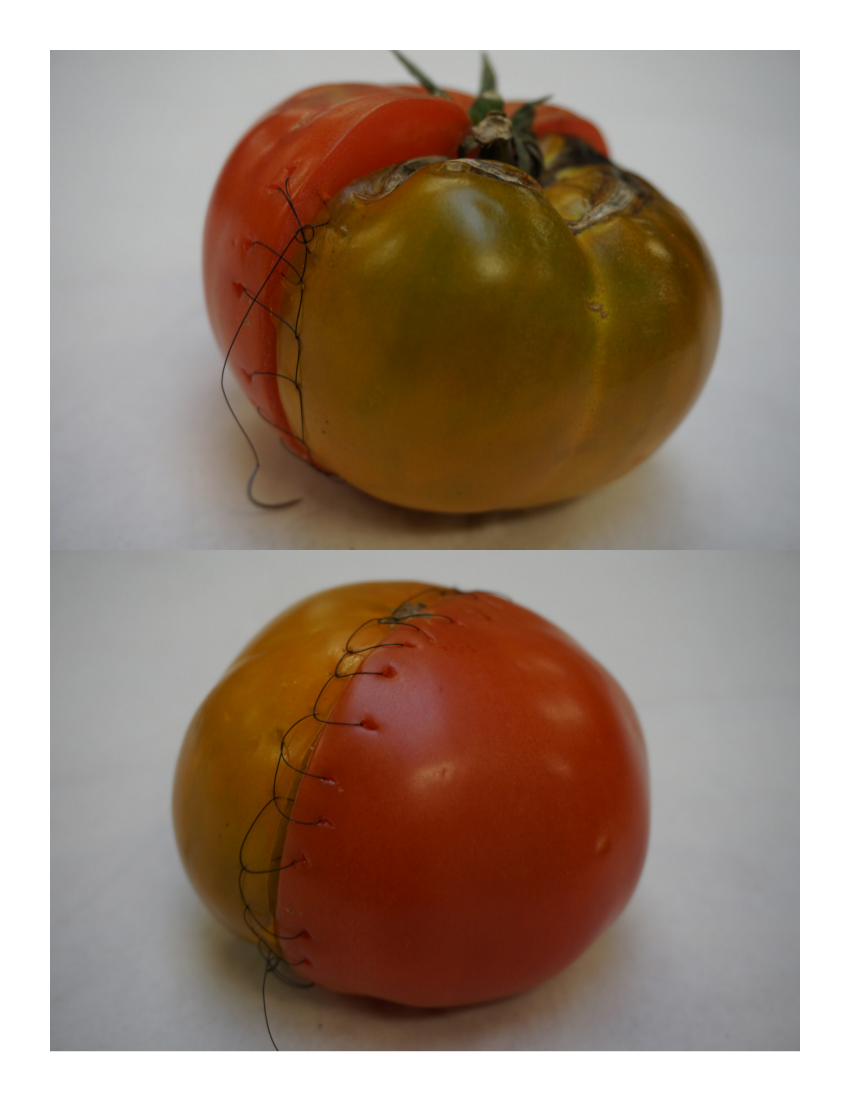 presentation image