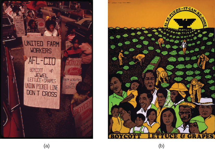 Image A is of a group of people carrying signs. The signs read “United Farm Workers AFL-CIO boycott of Jewel Lettuce & Grapes Union Picket Line Don’t Cross” and “Boycott, Farm Workers on Strike”. Image B is of a poster that shows people picking crops in a field. The sun rises in the background. In the center of the sun is an eagle, and text along the sun reads “Si se puede ~ It can be done”. Text at the bottom of the poster reads “Boycott Lettuce & Grapes”.
