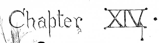 Chapter 14