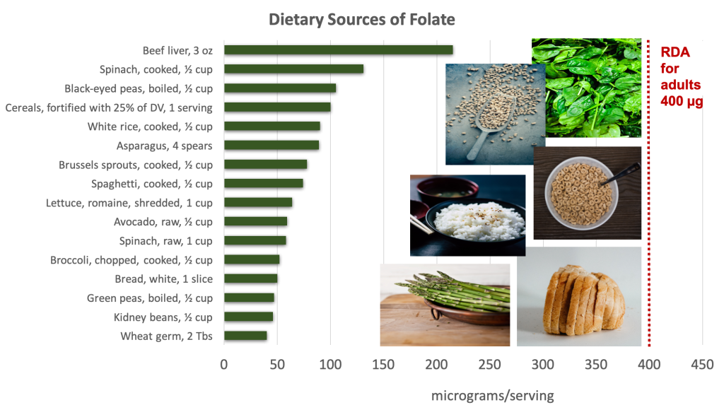 Bar graph showing dietary sources of folate compared with the RDA adults of 400 micrograms. Top sources include liver, darky leafy green, legumes, and fortified cereals and grains. Food sources pictured include spinach, black-eyed peas, cereal, rice, asparagus, bread.