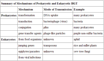 Mechanisms of prokaryotic and eukaryotic horizontal gene transfer