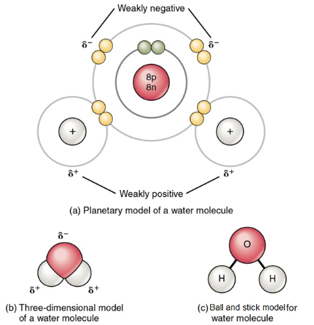 Figure 2.8 The structure of a NaCl crystal is given by the interaction of its forming ions, Na+ and Cl-, which are linked by ionic bonds