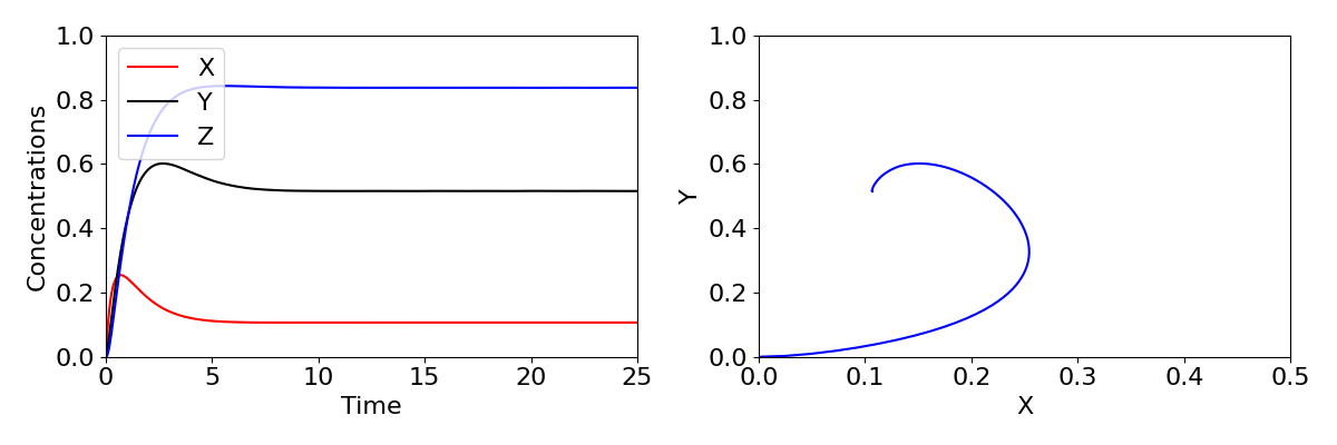 A time ocurse and phase diagram. 1. Concentrations are on the vertical axis and time on the horizontal axis. Three curves for each density all start at 0 when t=0. All increase initially, have a slight bump then quickly saturate at values of roughly X=0.1, Y=0.5 and Z=0.8. 2. Y is on the vertyical axis and X is on the horizontal axis. A trajectory starts at X=0 and Y=0, then has a small anti-clockwise spiral into the equilibrium.