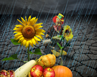 Clown stands in rain behind a stack of winter vegetables and sun flowers.