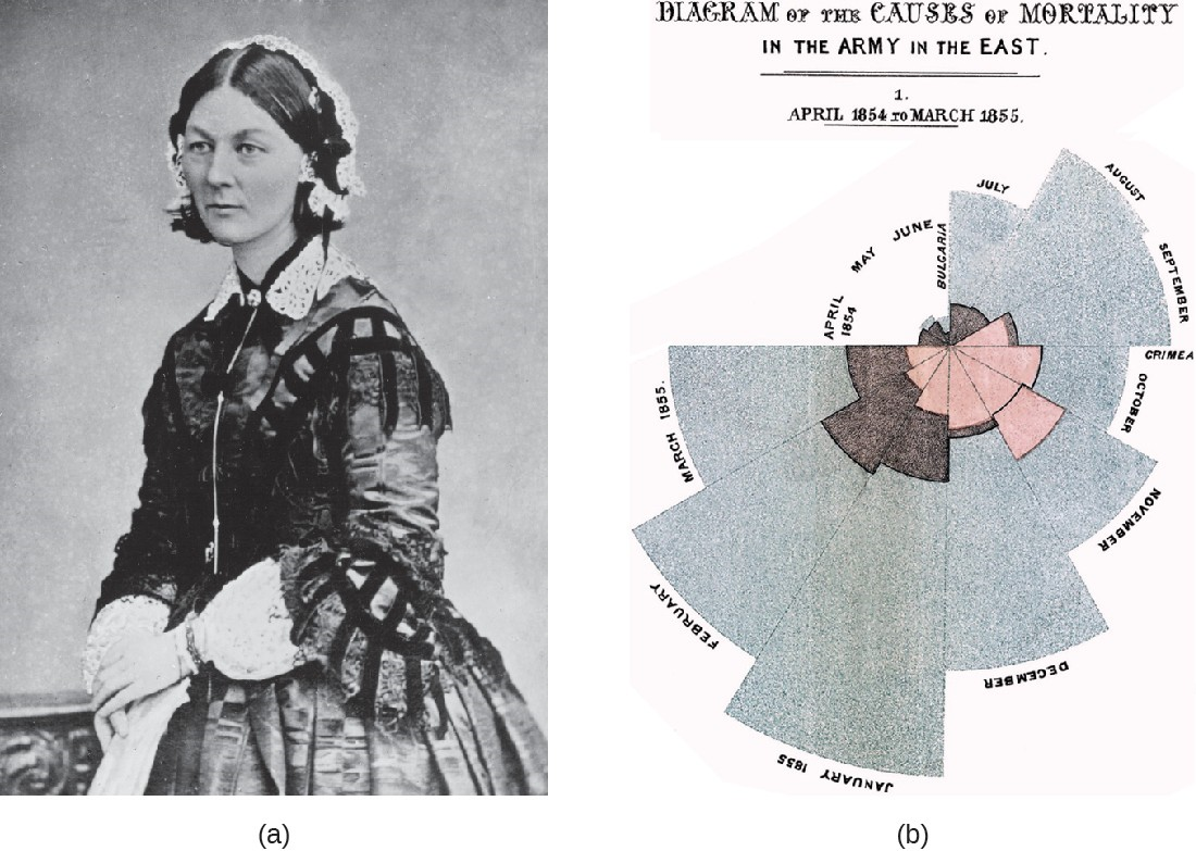 (a) Florence Nightingale reported on the data she collected as a nurse in the Crimean War. (b) Nightingale’s diagram shows the number of fatalities in soldiers by month of the conflict from various causes. The total number dead in a particular month is equal to the area of the wedge for that month. The colored sections of the wedge represent different causes of death: wounds (pink), preventable infectious diseases (gray), and all other causes (brown).