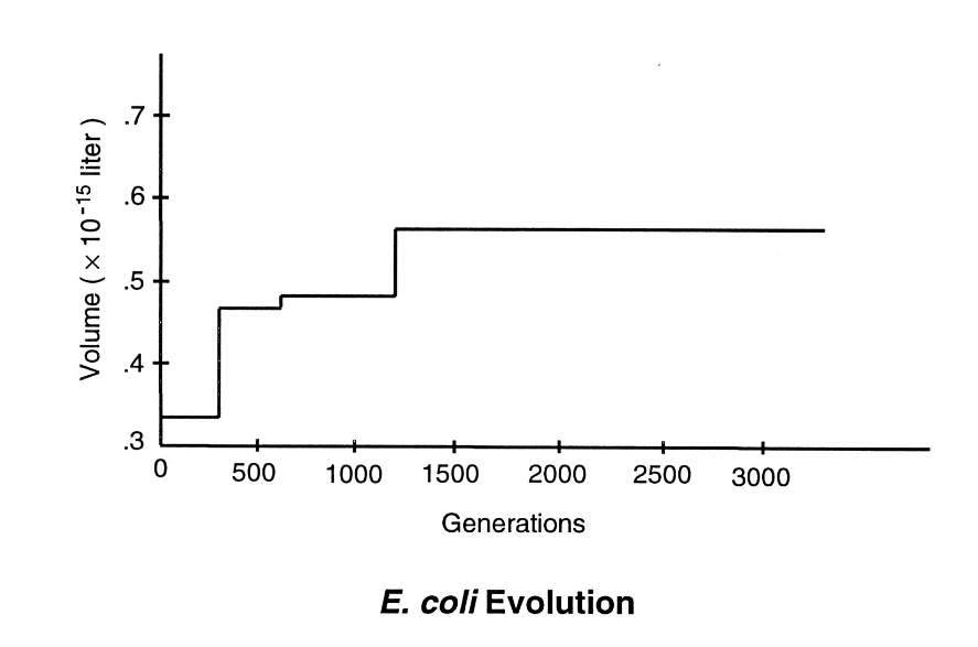 e coli evolution graph from biomath
