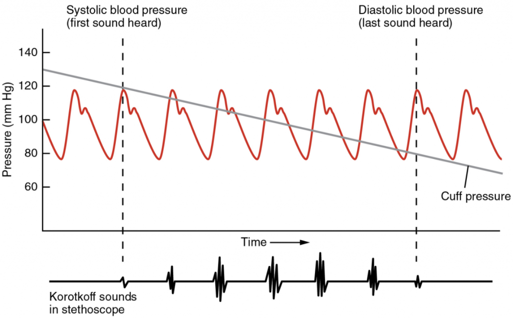 Blood pressure measurement