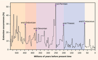 Mass extinctions
