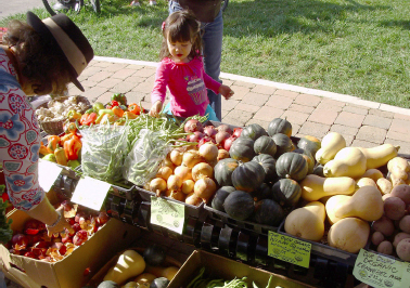 A little girl in a pink shirt, is picking up some green beans, at one of the stands.