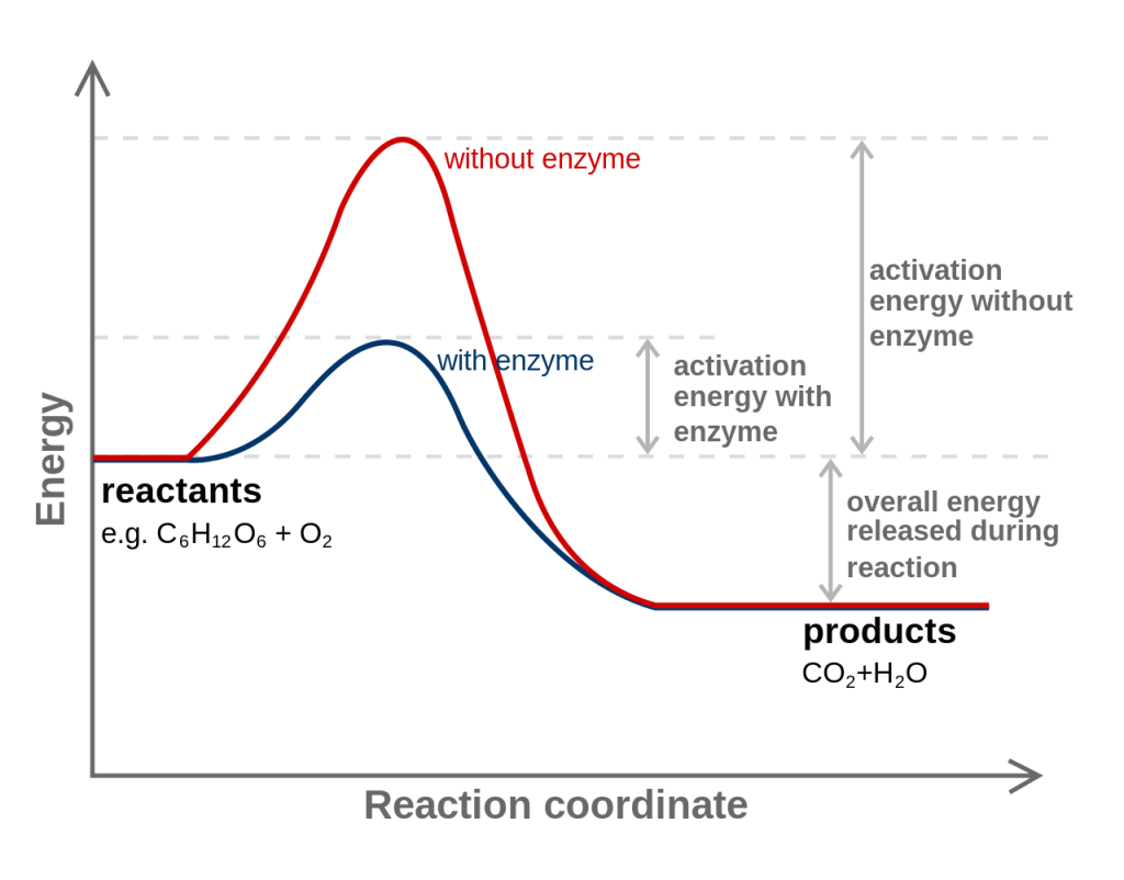 Activation energy