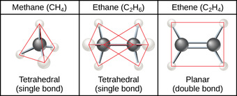 Hydrocarbon Chains