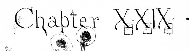 Chapter 29