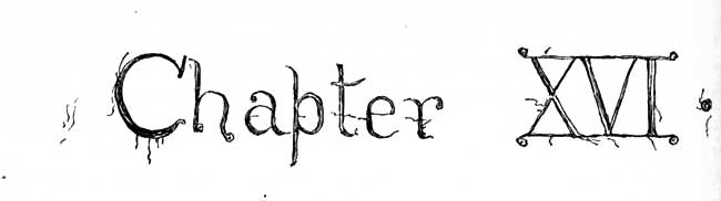 Chapter 16