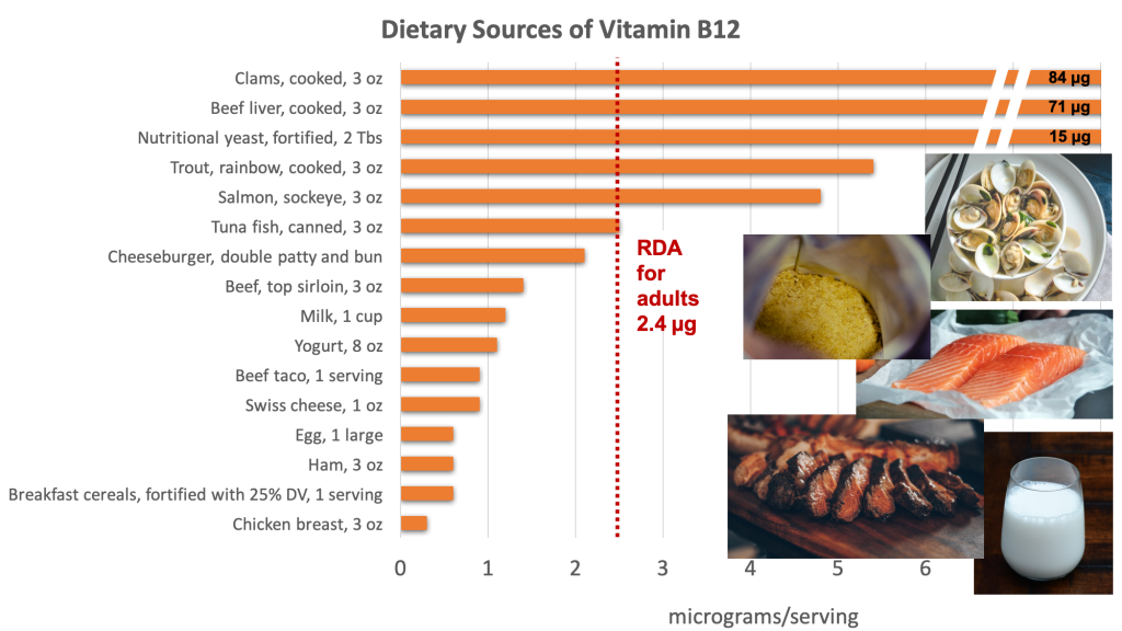 Bar graph showing dietary sources of vitamin B12 compared with the RDA adults of 2.4 micrograms. Biggest sources include clams, beef liver, nutritional yeast, trout, salmon, tuna, beef, milk, yogurt, Swiss cheese, eggs, ham, fortified breakfast cereal, and chicken.