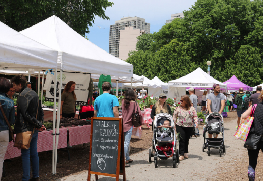 Green City Market on a sunny day. Many stalls with white coverings are set up with patrons walking around.