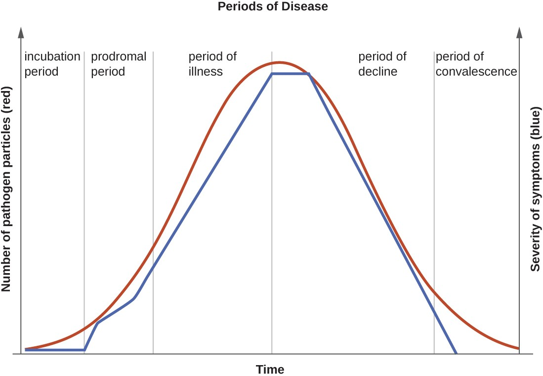 The progression of an infectious disease can be divided into five periods, which are related to the number of pathogen particles (red) and the severity of signs and symptoms (blue).