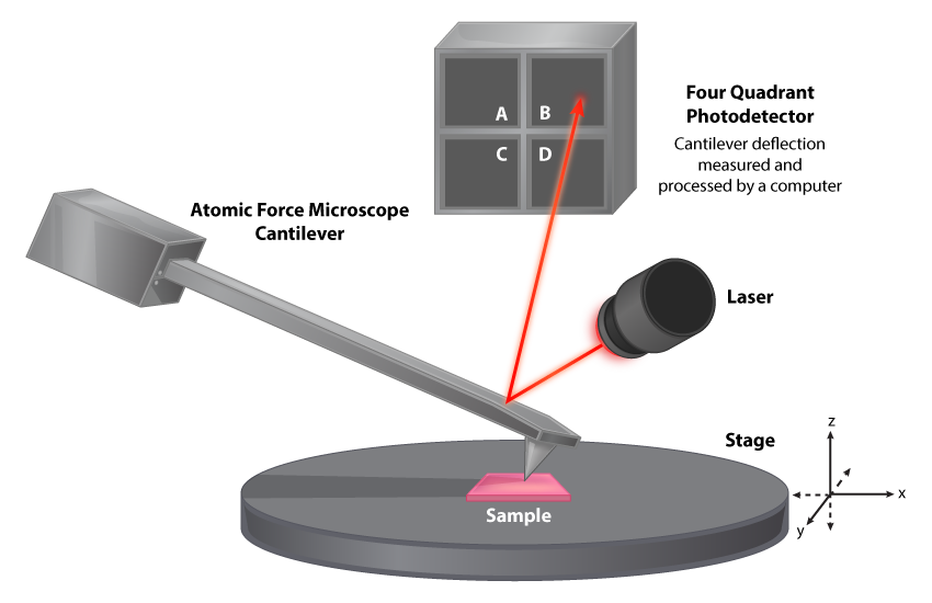 Atomic Force Microscope Mechanism. 