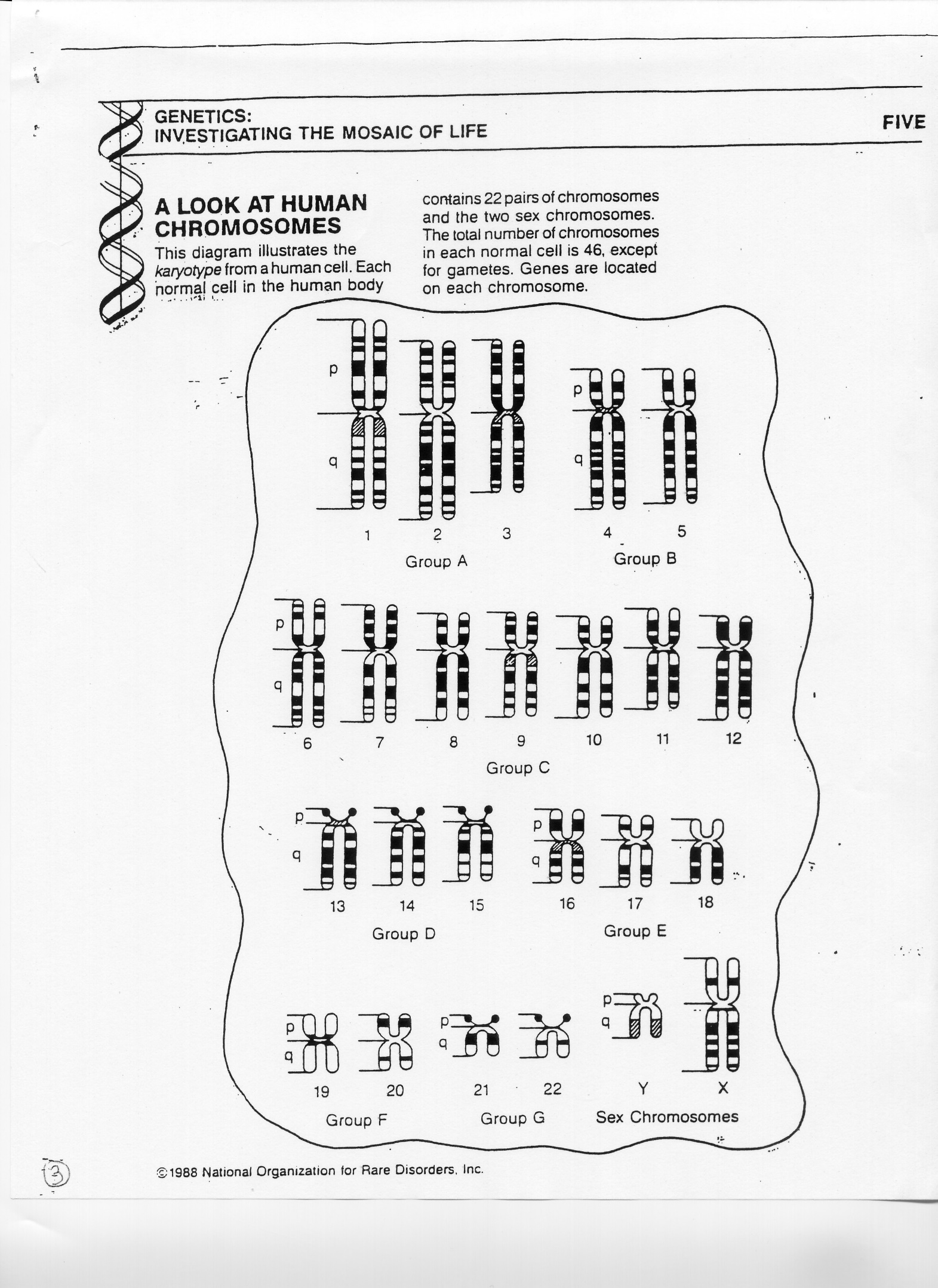 General Biology Ii Bio 12 On Manifold Scholarship At Cuny