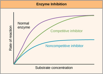 Enzyme inhibition