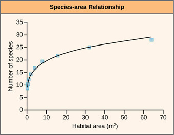 Species-area extinction estimates