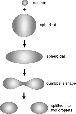 Image result for image for nuclear liquid drop model