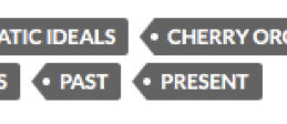 Figure 5: Example of a tagging cluster on individual student post which include ‘conflicts, ‘past,' and ‘present’