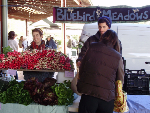 A large display of radishes at the Bluebird Meadows stall.