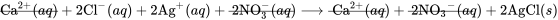 \rule[0.5ex]{4em}{0.1ex}\hspace{-4em} \text{Ca}^{2+}(aq) + 2\text{Cl}^{-}(aq) + 2\text{Ag}^{+}(aq) + \rule[0.5ex]{4.5em}{0.1ex}\hspace{-4.5em} 2\text{NO}_3^{-}(aq) \longrightarrow \rule[0.5ex]{4em}{0.1ex}\hspace{-4em} \text{Ca}^{2+}(aq) + \rule[0.5ex]{4.5em}{0.1ex}\hspace{-4.5em} 2{\text{NO}_3}^{-}(aq) + 2\text{AgCl}(s)