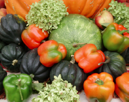 This close up of the peppers and squashes.