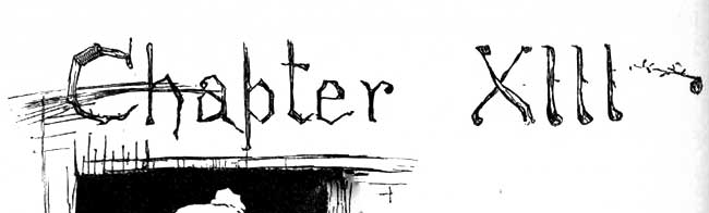 Chapter 13