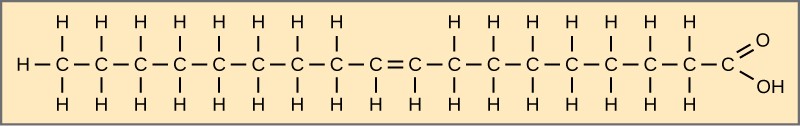 Oleic acid