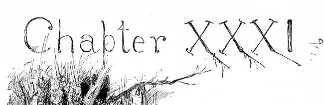 Chapter 31
