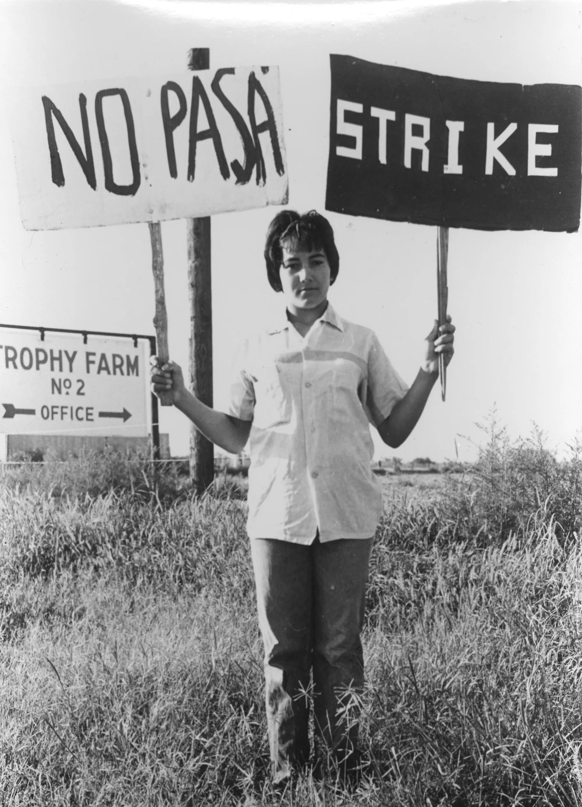A striking farm worker holding signs reading, "STRIKE" and "NO PASA"