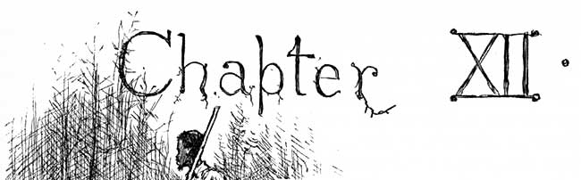 Chapter 12