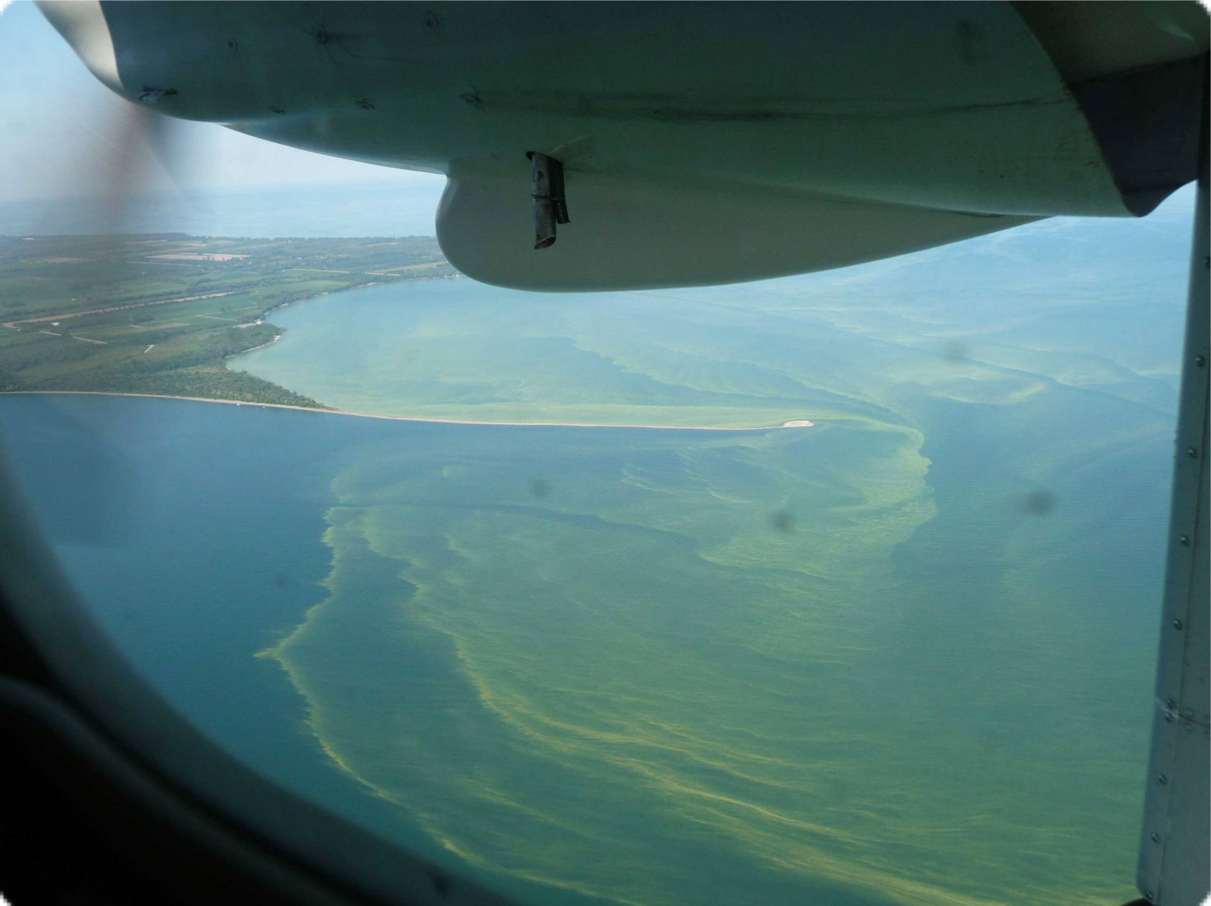 Aerial view of an algae bloom in a lake.