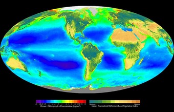 Primary productivity and biomass production