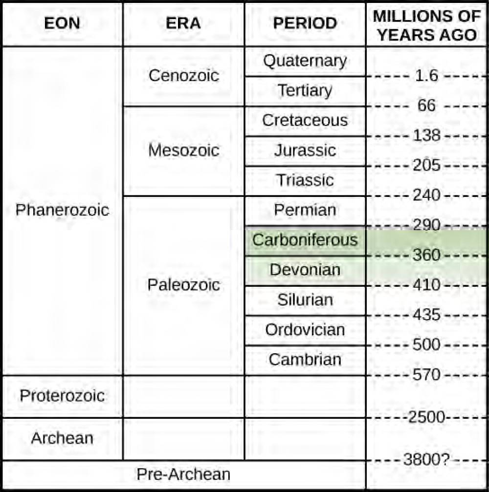  This chart shows a geological time scale, starting with the Pre-Archean eon about 3800 million years ago, and ending with the Quaternary period in the Cenozoic era in the Phanerozoic eon about 1.6 million years ago. The Devonian period and Carboniferous period are both in the Paleozoic era. The Devonian period began 410 million years ago and ended 360 million years ago. The Carboniferous period was from 360 million years ago to 290 million years ago.