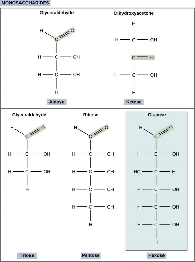 Classifications of monosaccharides