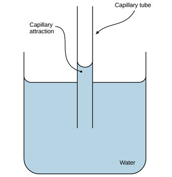Adhesion