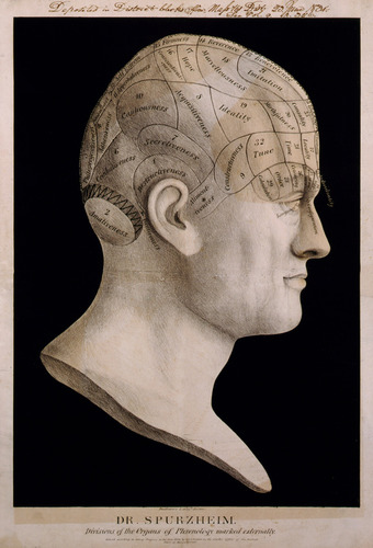 Phrenology: Dr. Spurzheim's divisions of the organs of phrenology marked externally