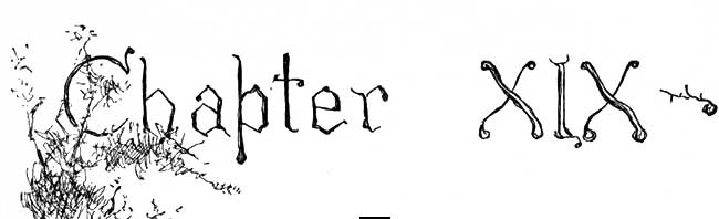 Chapter 19