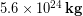 5.6 \times 10^{24}\, \bold{kg}