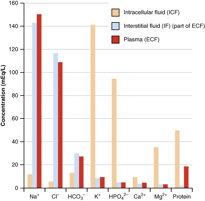 Bar graph of The concentrations of different elements in key bodily fluids.