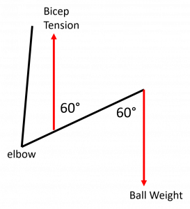 Stick diagram of a flexed arm holding a ball showing the bicep tension and weight and the angles between the forces and the forearm. Tension provided by the bicep is shown acting upward near the elbow and the weight of the ball acting downward on the weight. The acute (internal) angles between the forearm and each force are shown to be equivalent, in this case 60 degrees.